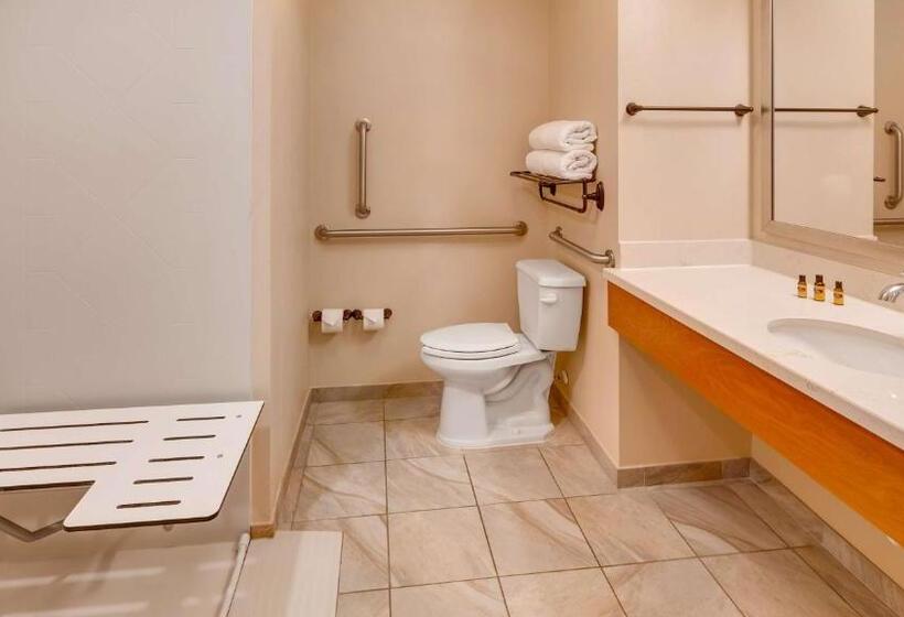 Номер Стандарт Кровать Кинг Адаптированный для Инвалидов, Best Western Plus Tuscumbia/muscle Shoals Hotel & Suites