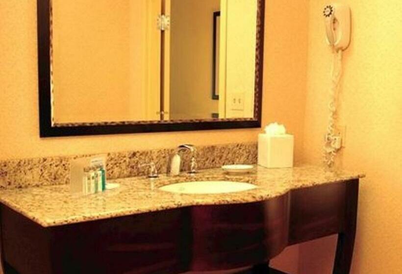Люкс Адаптированный для Инвалидов, Hampton Inn Emporia