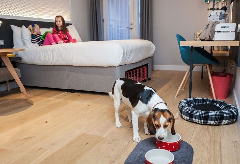 Представительский семейный номер, Lodge At Solent