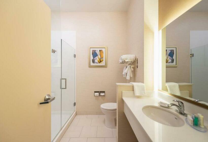 带大床的标准间, Fairfield Inn & Suites By Marriott Sidney