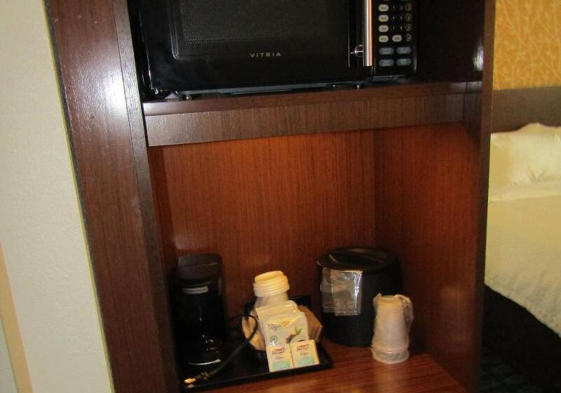 带大床的标准间, Fairfield Inn & Suites By Marriott Sidney