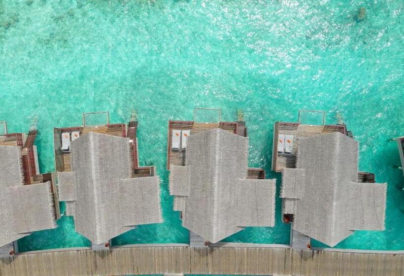 Вилла 1 Спальня, Grand Park Kodhipparu Maldives   Child Stay & Eat Free Until 30 Nov 2024