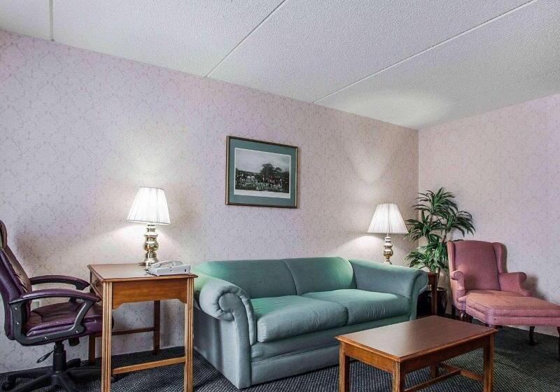 اتاق استاندارد با تخت بزرگ, Iris Garden Inn