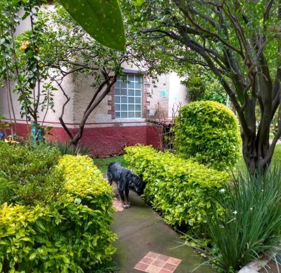 家族用バンガロー, Casa Pomarrosa