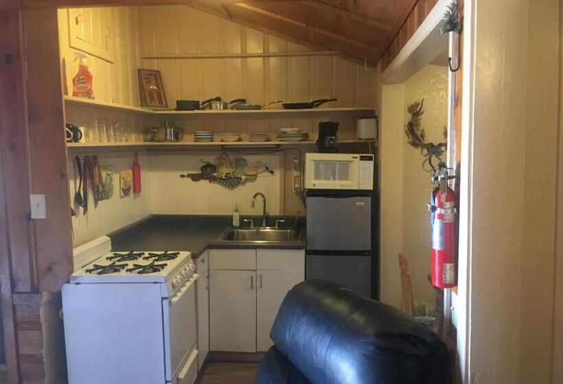 Студия Стандарт, Rainbows End Fishing Resort