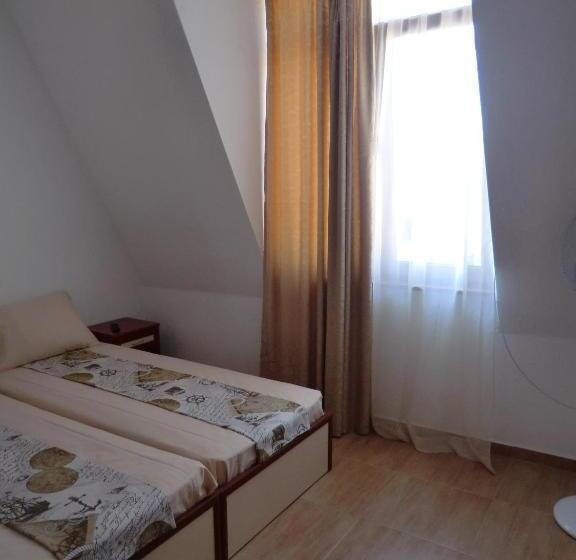 اتاق استاندارد با چشم‌انداز شهر, Guest House Petrovi