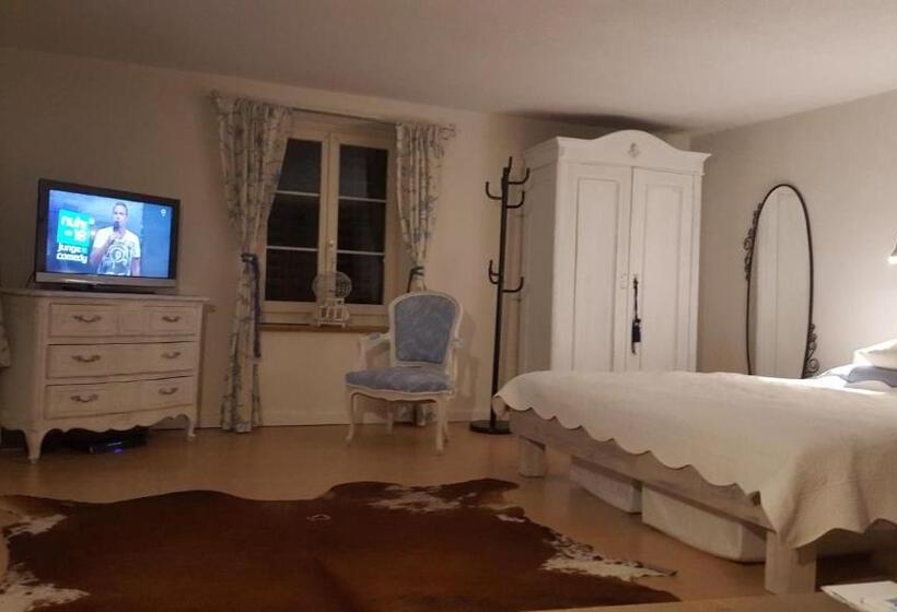 Номер Deluxe, Airport Zürich Elwiras B & B