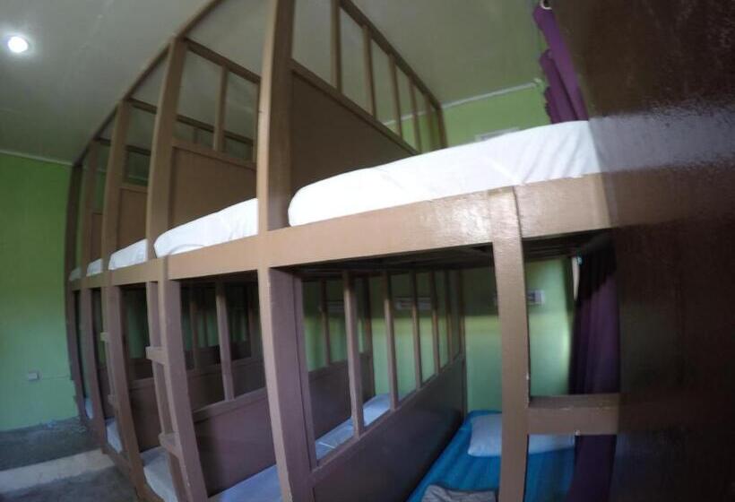 공동 객실, Malapascua Budget Inn Mbi Dive Center
