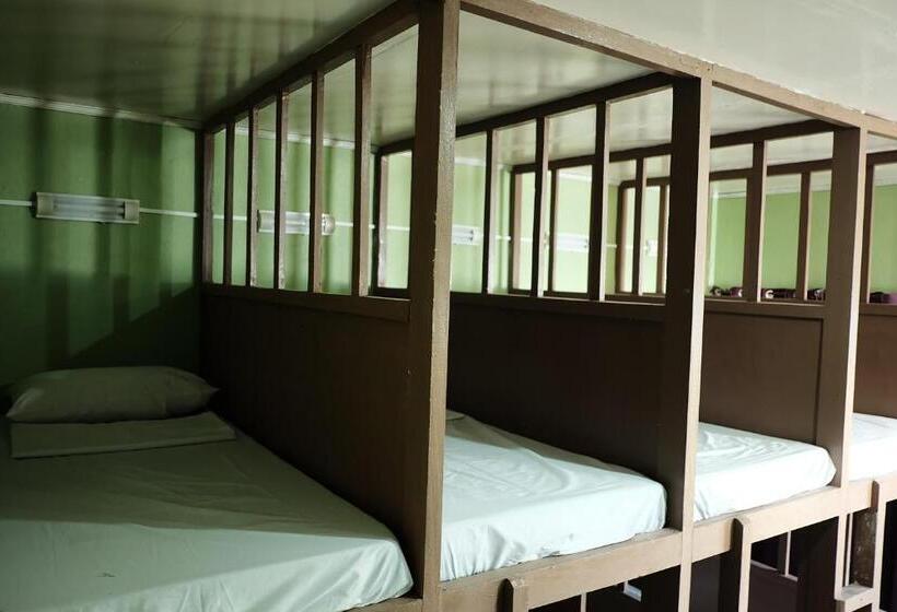 공동 객실, Malapascua Budget Inn Mbi Dive Center