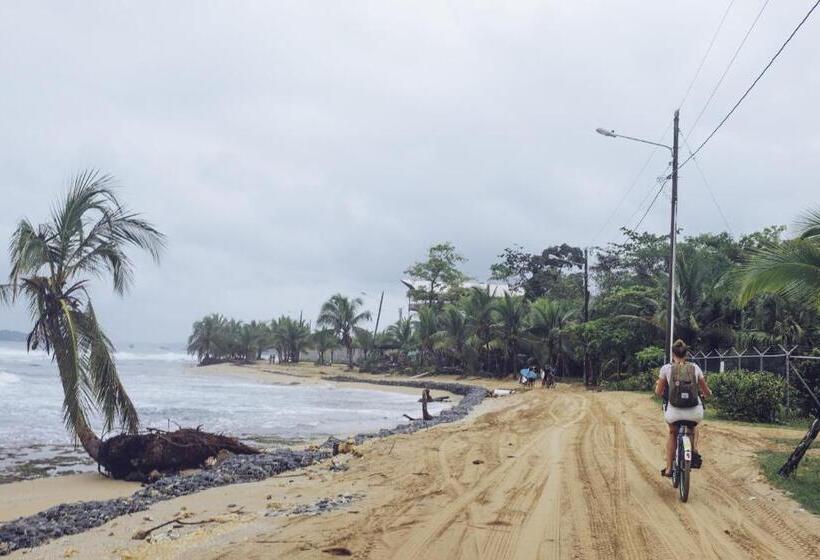 سرير فى غرفة مشتركه, Spanish By The Sea   Bocas