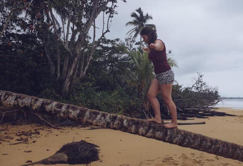 غرفة قياسية, Spanish By The Sea   Bocas