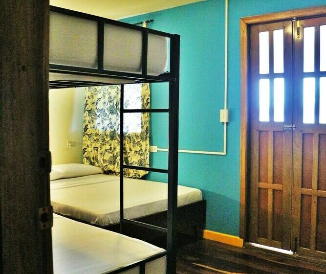 اتاق ساده چهارنفره, Hostel Mamallena Bocas Del Toro   Adults Only