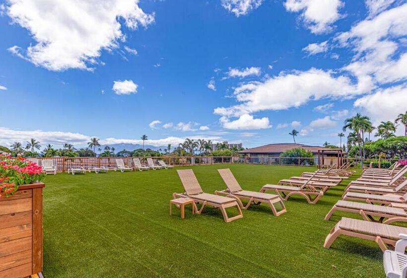 Апартаменты 2 Спальни, Maui Eldorado   J 106   Walk Out Ocean Views
