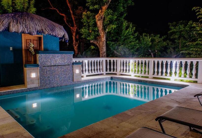 آپارتمان 1 خوابه با چشم‌انداز دریا, Seaside Inn Roatan