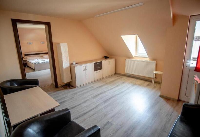 Номер Deluxe, Vila Panseluța