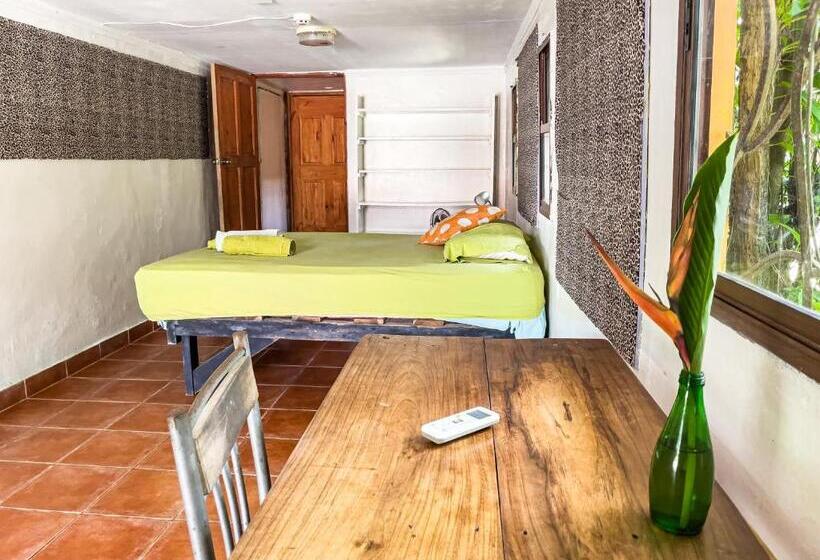 Номер Стандарт, Garden Rooms