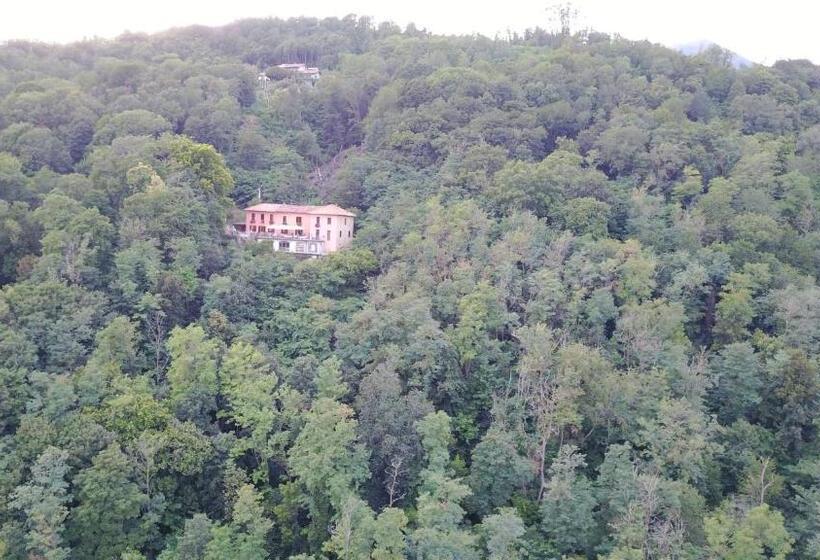 Семейный Номер, B&b Alpina