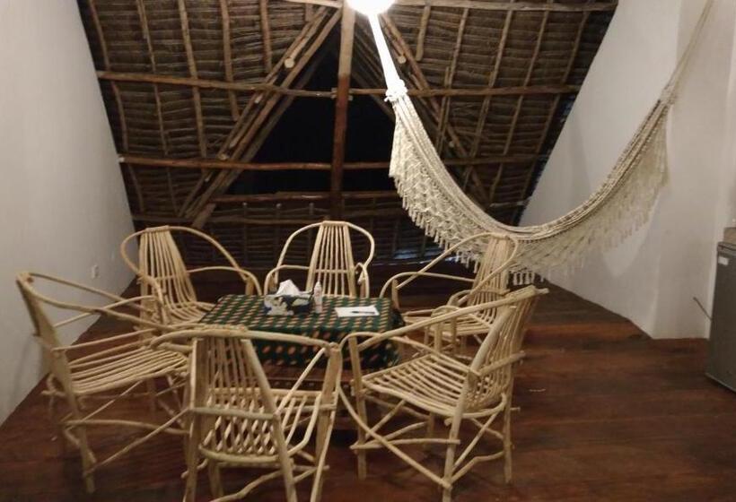 اتاق لوکس, Lazy Beach House