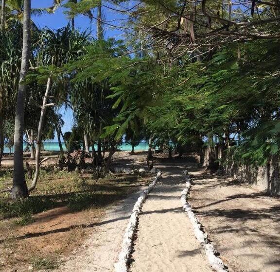 اتاق لوکس, Lazy Beach House