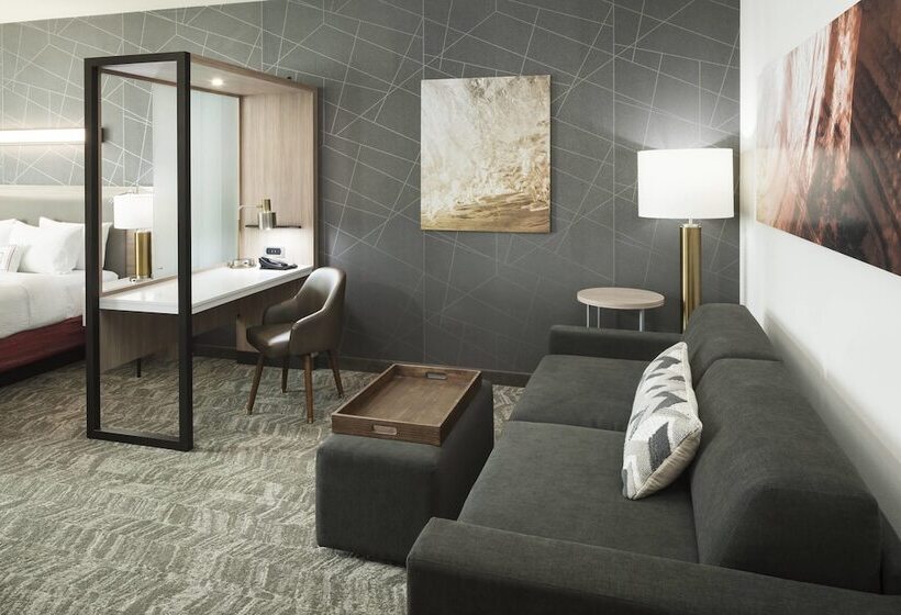 套房, Springhill Suites By Marriott Clearwater Beach