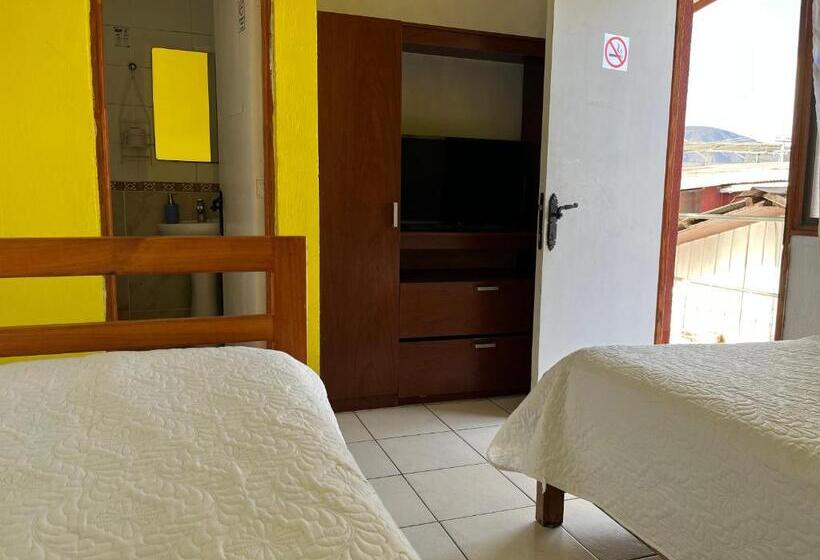 חדר סטנדרט, Hostal Avenue
