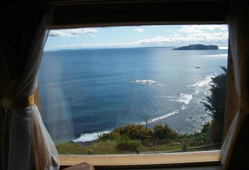 Suite Premium, Faros Del Sur