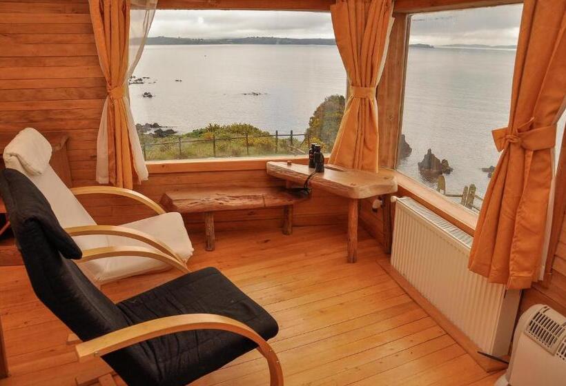 Suite Premium, Faros Del Sur