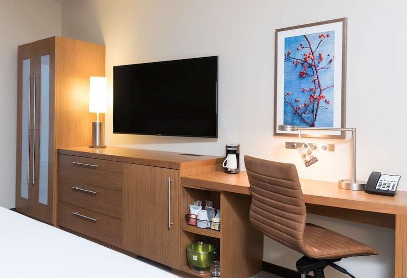 장애인을 위한 킹사이즈 침대 스탠다드 룸, Hyatt Place Ann Arbor
