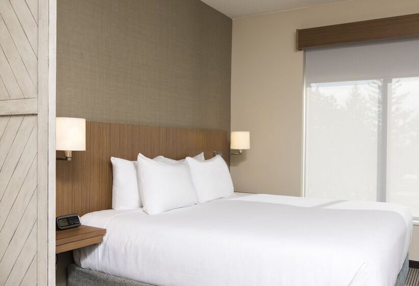 스탠다드 룸 킹사이즈 침대, Hyatt Place Ann Arbor