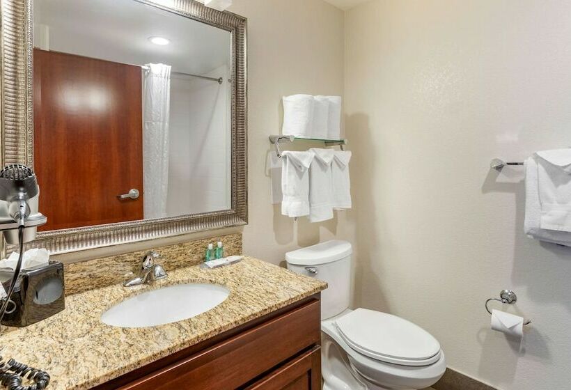 스위트, Mainstay Suites Near Denver Downtown