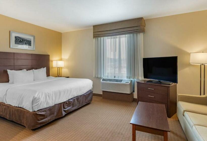 스위트 킹사이즈 침대, Mainstay Suites Near Denver Downtown