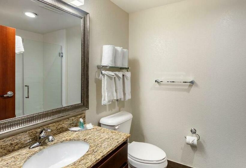 스위트 킹사이즈 침대, Mainstay Suites Near Denver Downtown