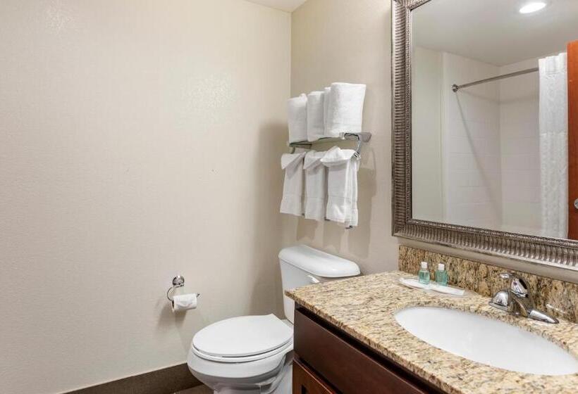 스위트, Mainstay Suites Near Denver Downtown