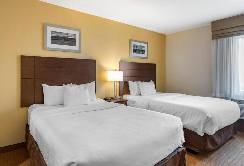 스위트, Mainstay Suites Near Denver Downtown