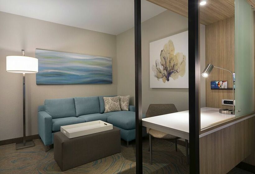 스위트, Springhill Suites By Marriott New Smyrna Beach