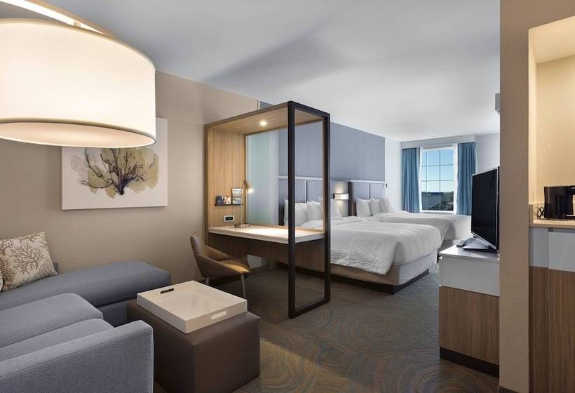 측면 바다 전망 스위트, Springhill Suites By Marriott New Smyrna Beach