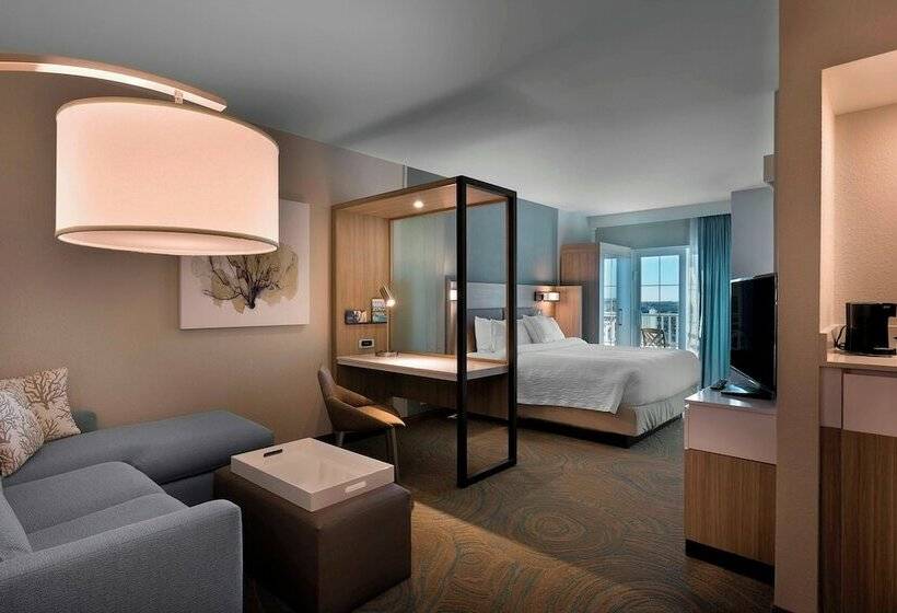 측면 바다 전망 스위트, Springhill Suites By Marriott New Smyrna Beach
