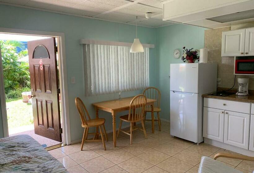 スタンダードスタジオ, Carousel Motel  Redington Shores