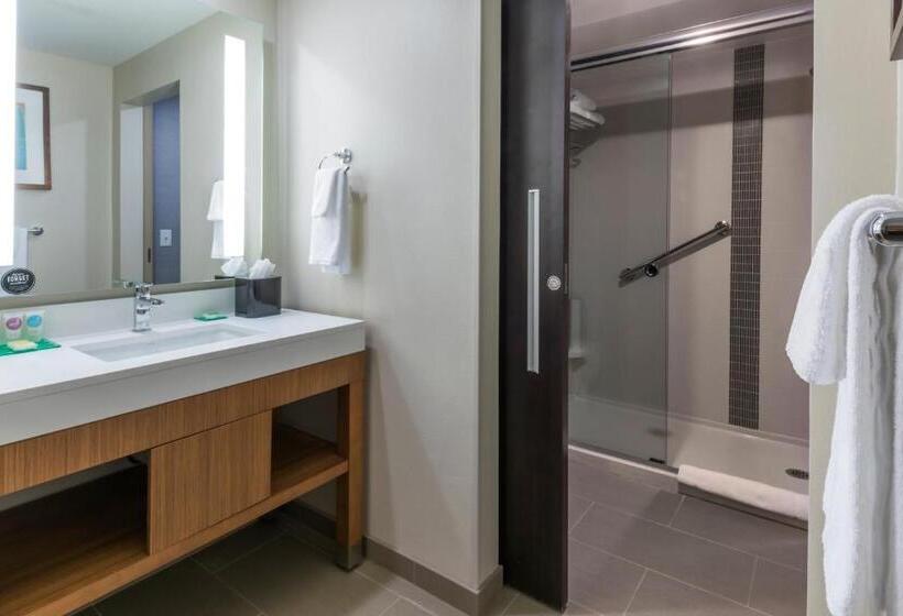اتاق استاندارد با تخت بزرگ, Hyatt Place Boise/downtown