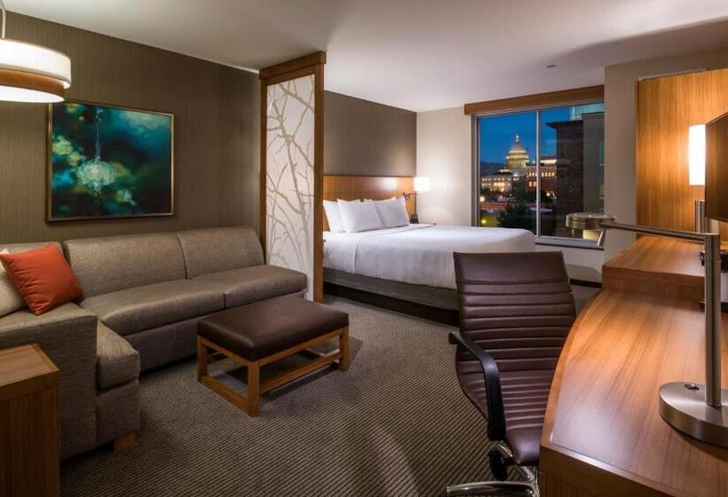 اتاق استاندارد با تخت بزرگ, Hyatt Place Boise/downtown