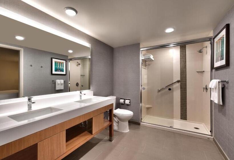 سوئیت با تخت بزرگ, Hyatt Place Boise/downtown
