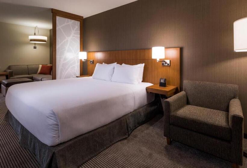 سوئیت برای معلولان, Hyatt Place Boise/downtown