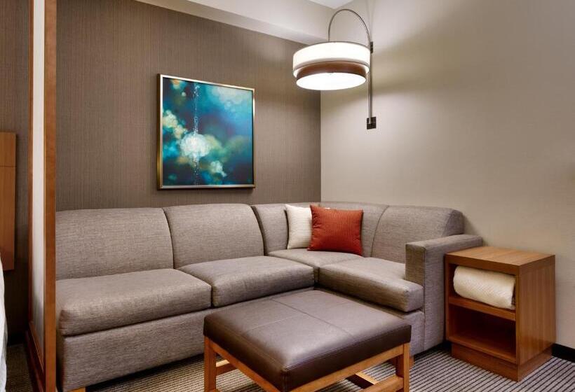 اتاق استاندارد برای معلولان, Hyatt Place Boise/downtown