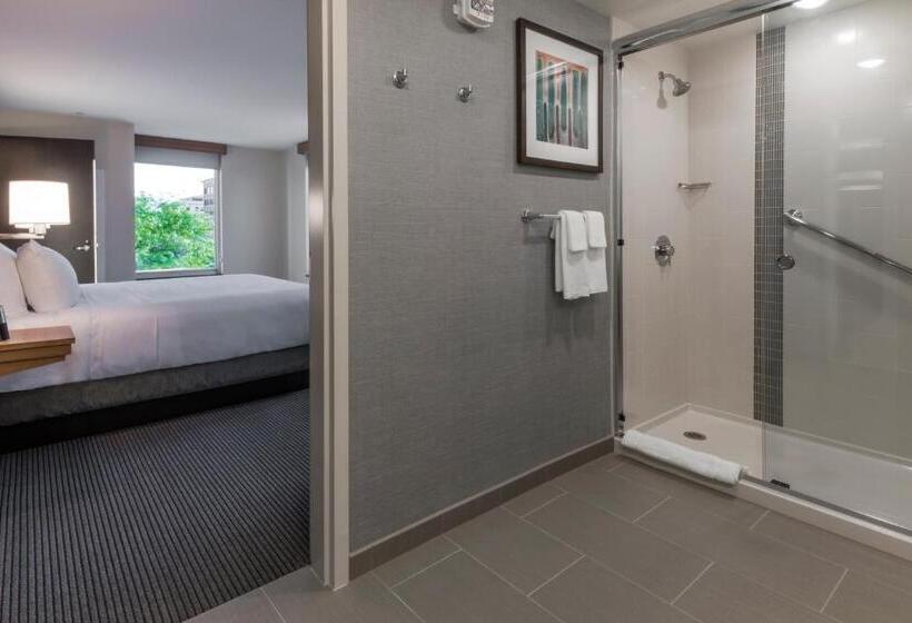 سوئیت با تخت بزرگ, Hyatt Place Boise/downtown