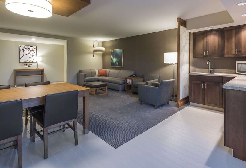 سوئیت با تخت بزرگ, Hyatt Place Boise/downtown