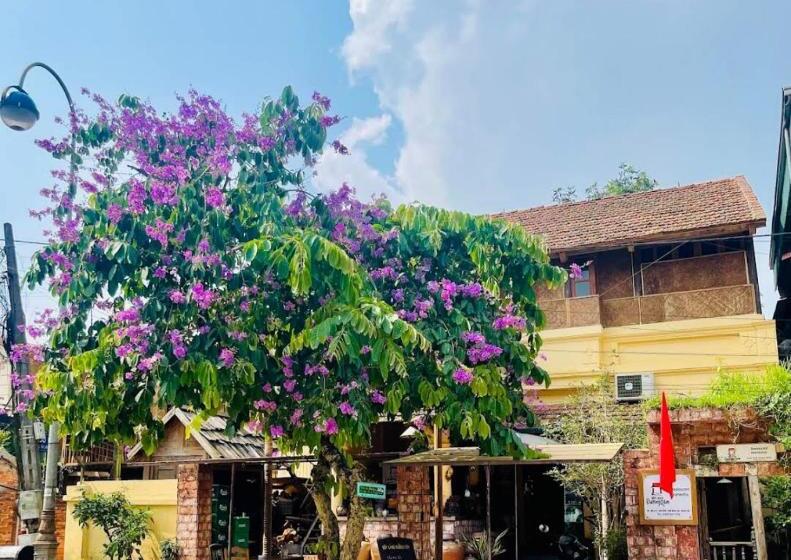 اتاق خانوادگی با سرویس بهداشتی مشترک, đoài Homestay đường Lâm