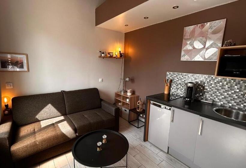 Студия Стандарт, Mini Studio Et Espace Extérieur
