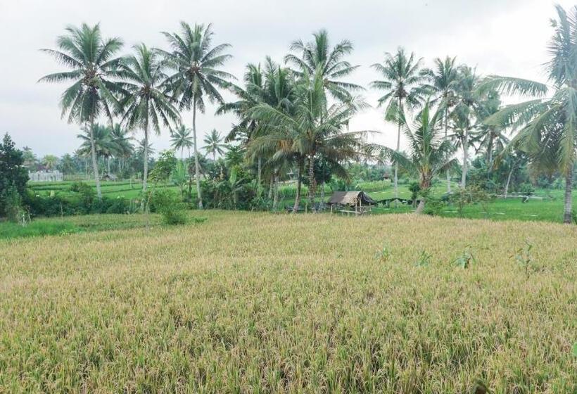 ファミリールーム, Rinjani Terrace Cottage & Resto