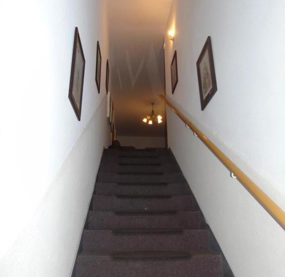 标准单人间, Toris Inn