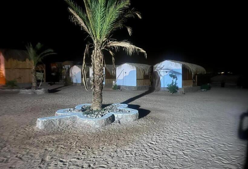 اتاق استاندارد با چشم‌انداز دریا, The Bedouin Life With Eid Ali